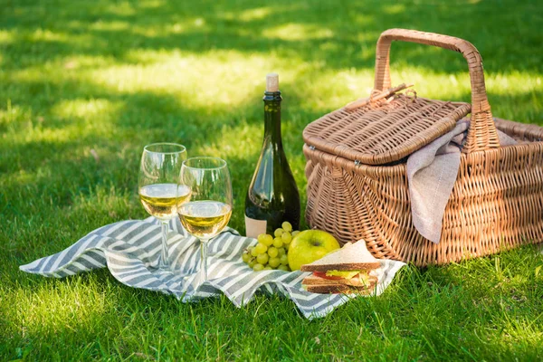 Cesta de picnic con frutas y vino - foto de stock