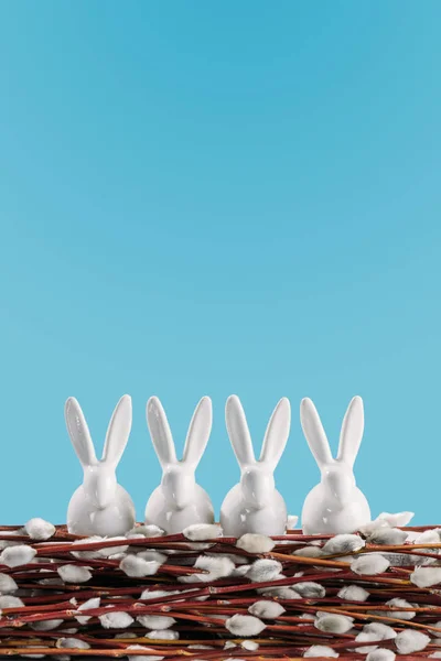 White easter rabbits on catkins isolated on blue — Stock Photo