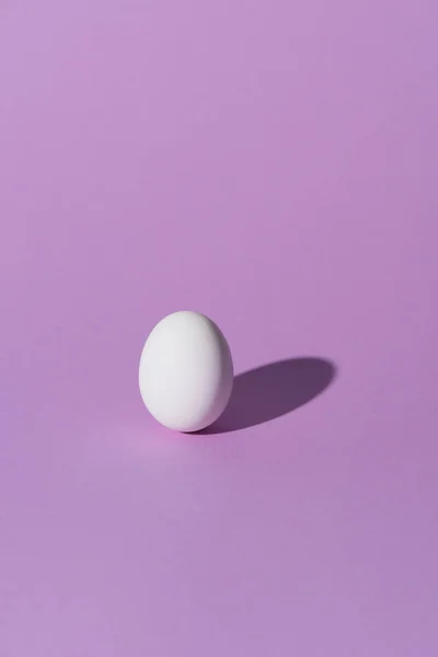 Одно куриное яйцо на фиолетовой поверхности — стоковое фото