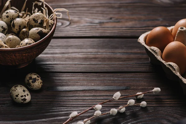 Chicken eggs, quail eggs and catkins on wooden table, easter concept — Stock Photo