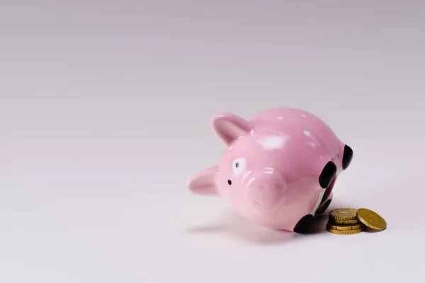 Close up view of pink piggy bank and a pile of coins isolated on lilac — стоковое фото