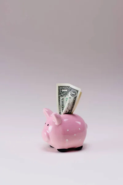 Close up view of pink piggy bank with dollar banknotes isolated on lilac — Stock Photo