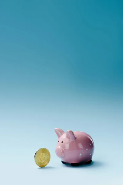 Close up view of pink piggy bank and golden bitcoin on blue backdrop — Stock Photo