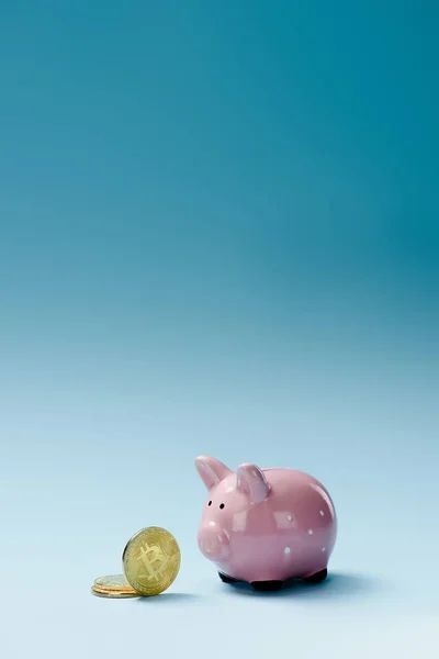 Close up view of pink piggy bank and golden bitcoins on blue backdrop — Stock Photo