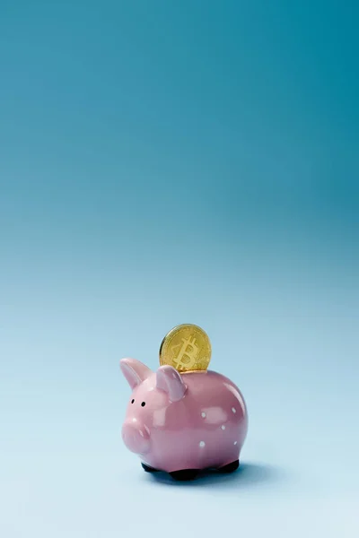 Close up view of pink piggy bank and golden bitcoin on blue backdrop — Stock Photo