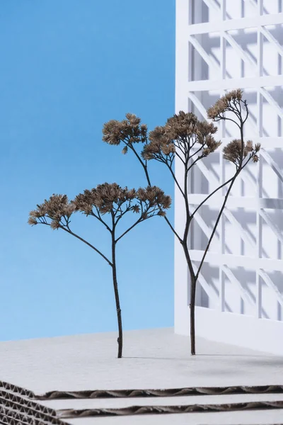 Vista de cerca del modelo de edificio blanco con árboles en miniatura sobre fondo azul - foto de stock