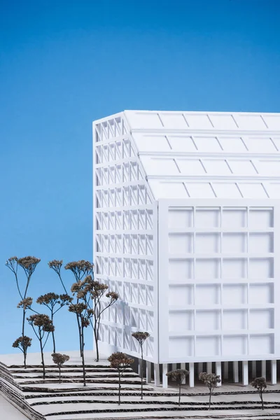 Vista da vicino del modello di edificio bianco con alberi in miniatura su sfondo blu — Foto stock