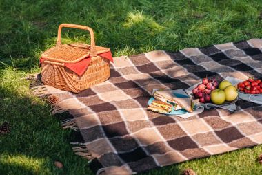 Picnic basket and fruits  clipart