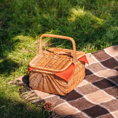 Picnic basket on grass  clipart
