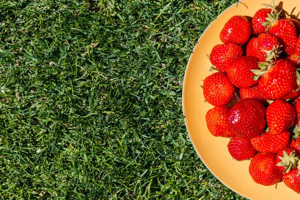 新鲜成熟的红草莓 — 图库照片