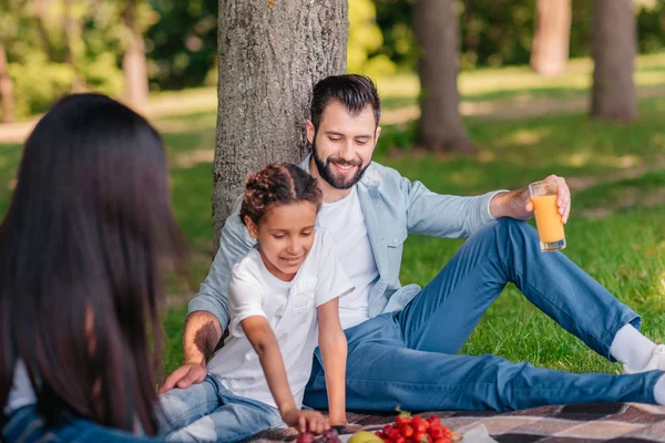 Boldog család a pikniken — Stock Fotó