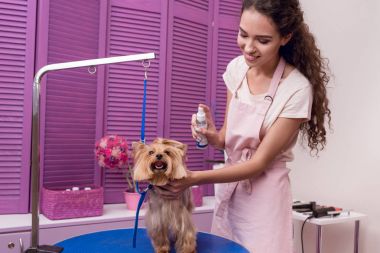 damat damat köpek