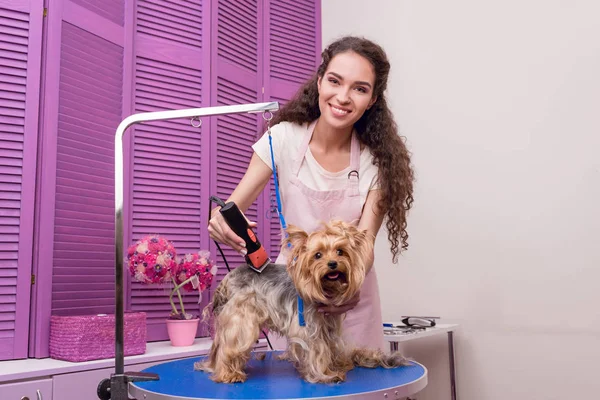 Peluquero recorte perro — Foto de Stock