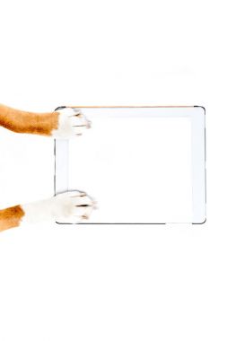 dog using digital tablet clipart