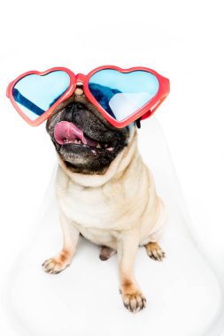 dog in heart shaped sunglasses  clipart