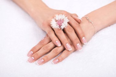 female hands with flower clipart