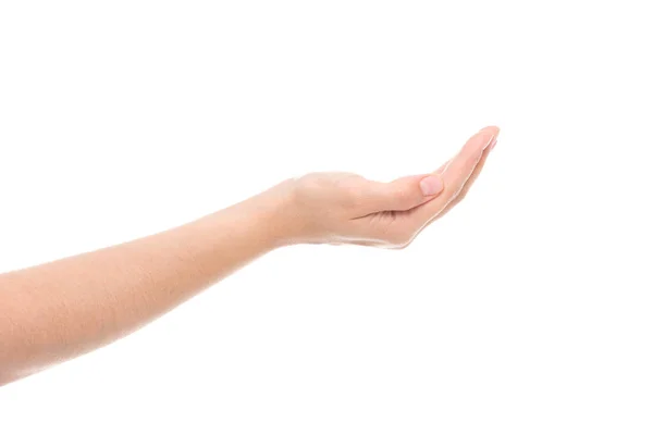 Обрезанный снимок женской руки — стоковое фото
