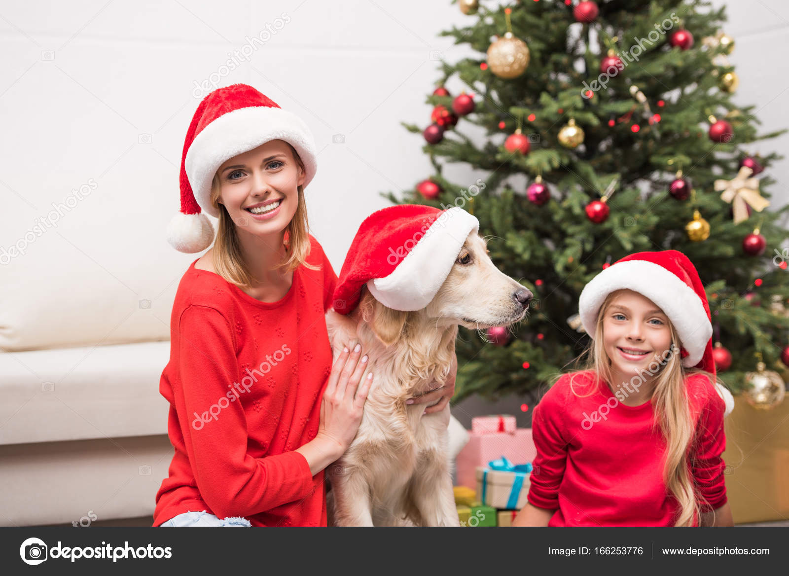 Family with dog in Santa hats — Stock Photo © AllaSerebrina #166253776