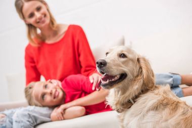 Anne ve kızı ve köpeği.