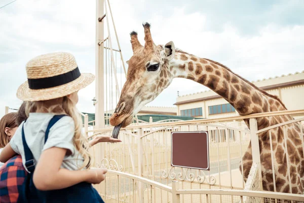 Family looking at giraffe in zoo — Stock Photo, Image