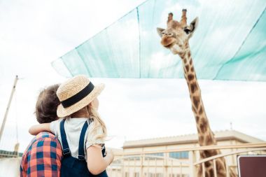 family looking at giraffe in zoo clipart