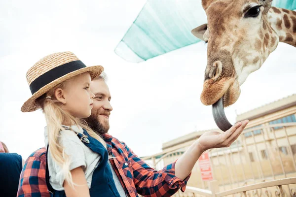 Família alimentando girafa no zoológico — Fotografia de Stock