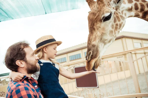 Familia alimentación jirafa en zoológico —  Fotos de Stock