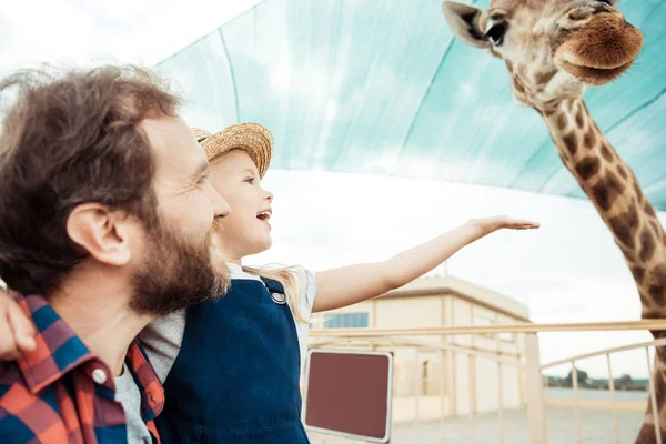 Familia mirando jirafa en zoológico — Foto de Stock