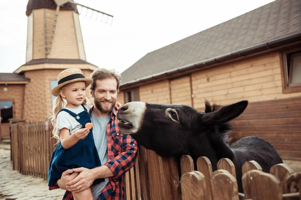 Family feeding donkey in zoo — Stock Photo, Image