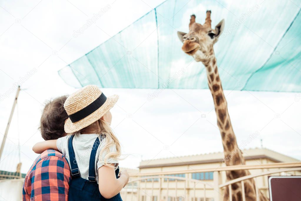 family looking at giraffe in zoo