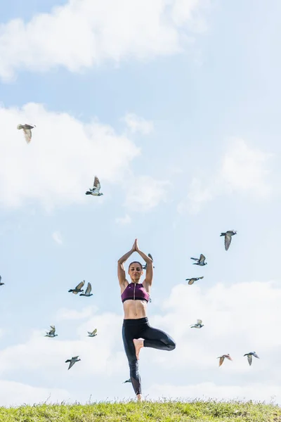 Tree pose — Stock Photo, Image