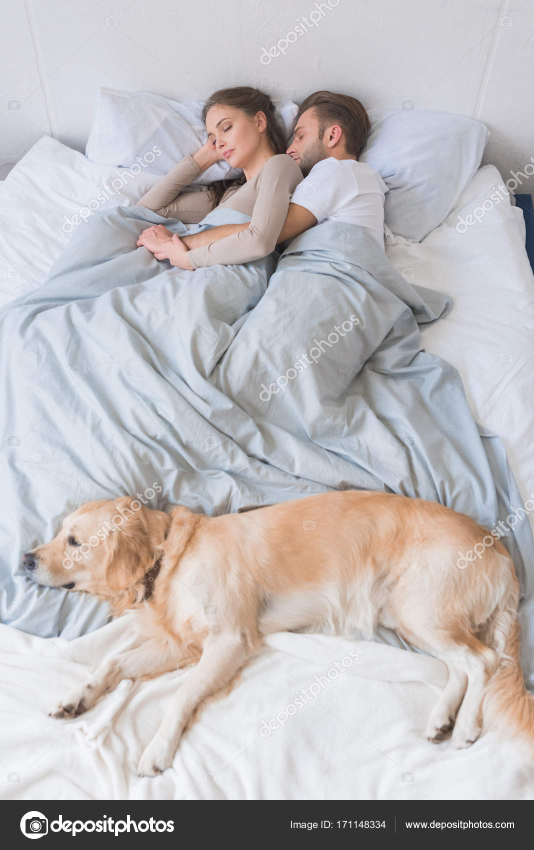 Dog sleeping on bed with couple Stock Photo by ©AllaSerebrina 171148334