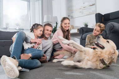 Aile köpekle oynuyor.