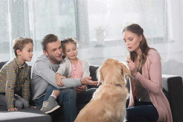 Famiglia che gioca con il cane in salotto — Foto Stock