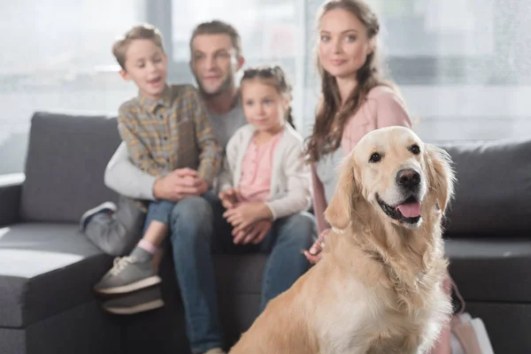 family and dog in living room