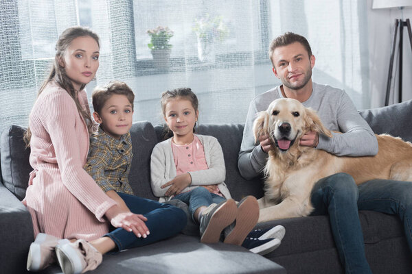 Семейный ласковый пёс на диване
