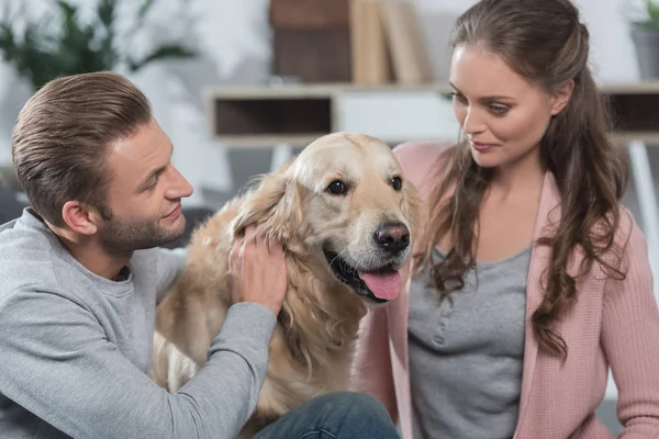 Par petting hunden — Stockfoto