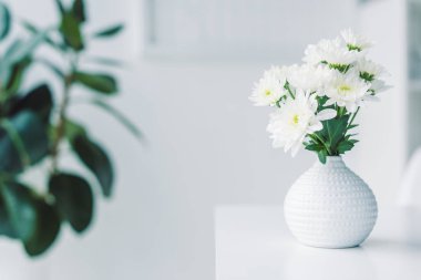 Vazoda beyaz çiçekler