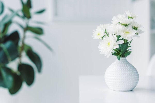 white flowers in vase
