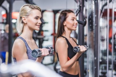 spor salonunda dumbbells ile çalışma dışarı çekici atletik kadınlar