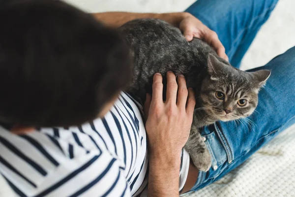 Top View Young Man Petting Cute Tabby Cat — Stock Photo, Image