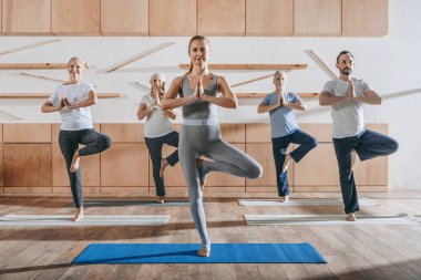 group of senior people practicing yoga with instructor in tree pose on mats in studio clipart