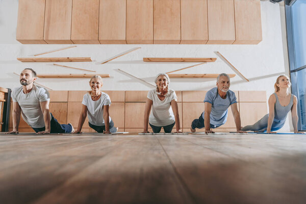 группа пожилых людей практикующих йогу в собачьей позе на ковриках в студии
