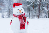 Zavřete pohled sněhulák v santa čepice, šála a rukavice winter park