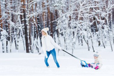 genç anne ve küçük kız kış ormanda birlikte sledging