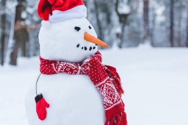 yakın çekim kardan adam santa şapka, eşarp ve eldiven görünümünü ben kış park