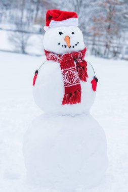 yakın çekim kardan adam santa şapka, eşarp ve eldiven görünümünü ben kış park