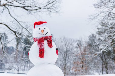 eşarp, eldiven ve santa şapka kış Park içinde komik kardan adam