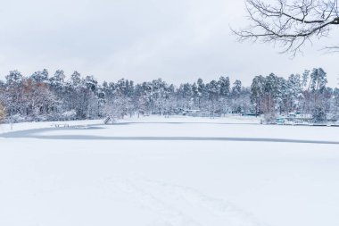 donmuş göl ve karla kaplı ağaçlar kış Park ile güzel manzara