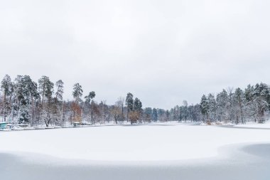 karla kaplı ağaçlar ve kış park içinde donmuş gölün güzel manzara 